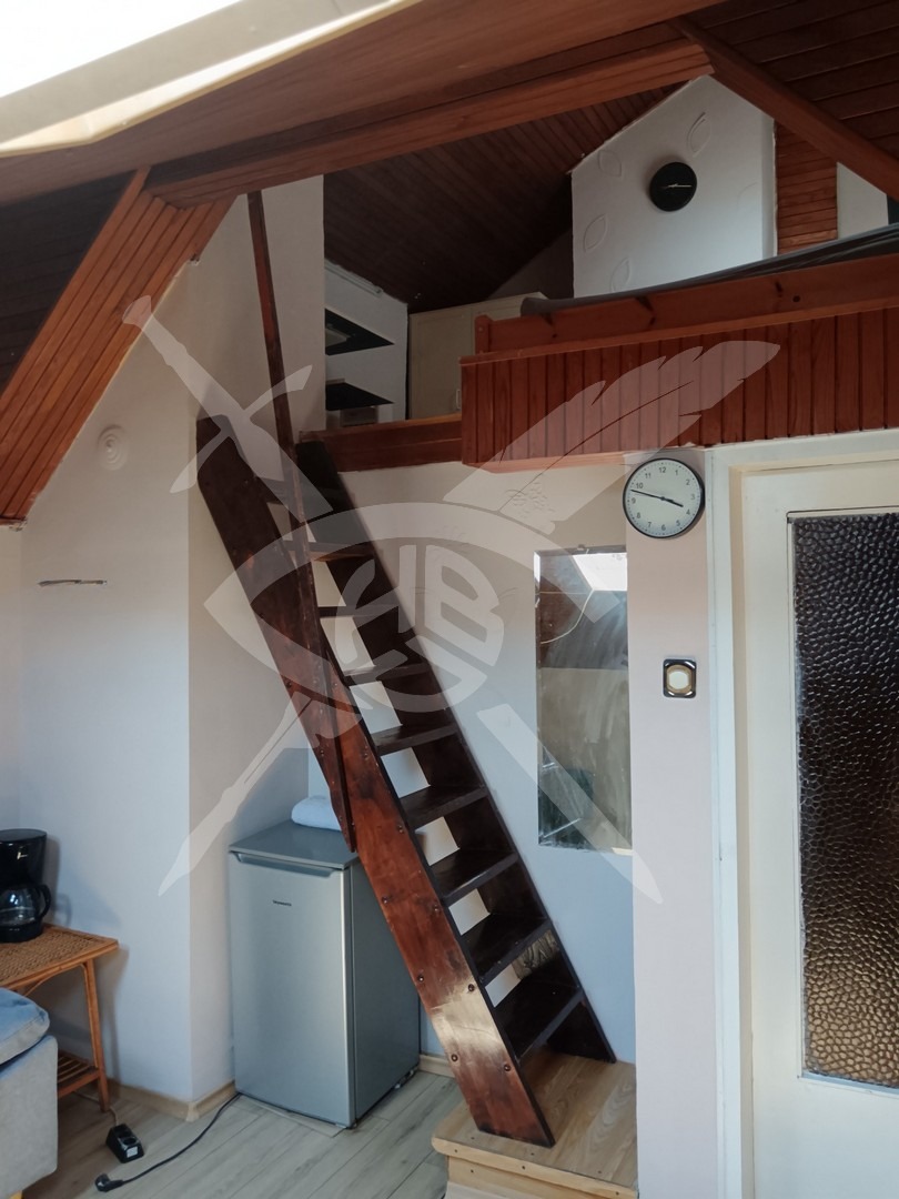 Дава под наем АТЕЛИЕ, ТАВАН, гр. София, Лозенец, снимка 2 - Апартаменти - 55898411
