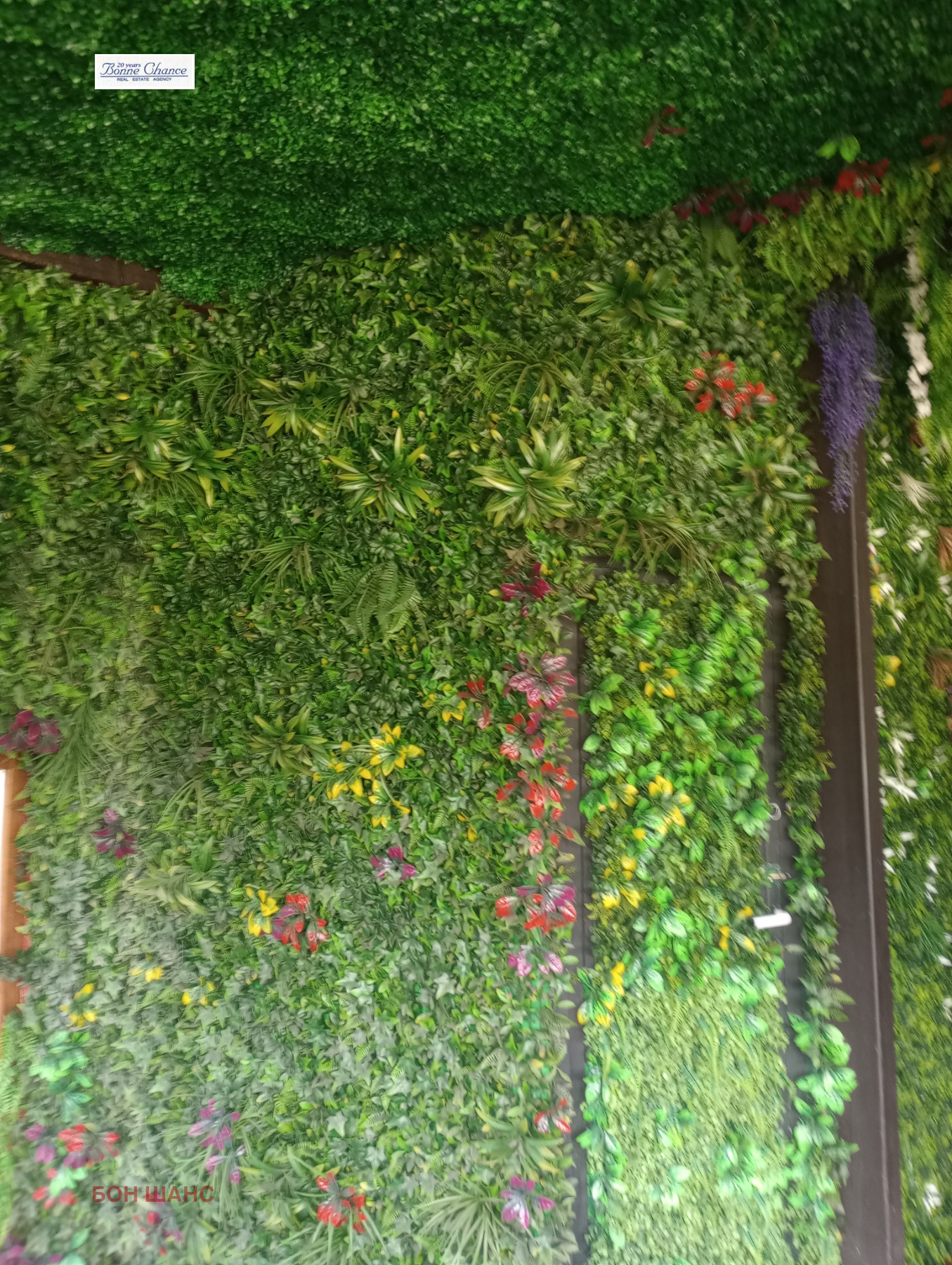 ���� ��� ���� ��������� | Imot.bg � ����������� 5