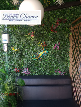 ����� ���� ��� ���� ���������,���� �����, ������