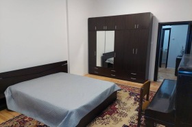 1 dormitor Țentâr, Sofia