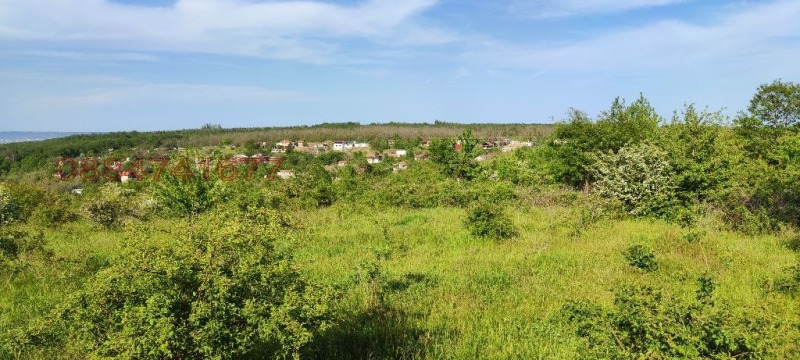 Дава под наем ЗЕМЕДЕЛСКА ЗЕМЯ, с. Бенковски, област Варна, снимка 3 - Земеделска земя - 53348214