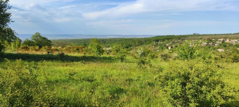 Дава под наем ЗЕМЕДЕЛСКА ЗЕМЯ, с. Бенковски, област Варна