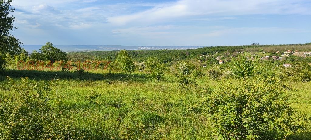 Дава под наем ЗЕМЕДЕЛСКА ЗЕМЯ, с. Бенковски, област Варна