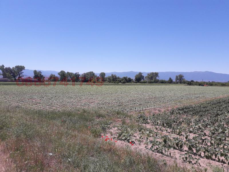 ���� ��� ���� ���������� ���� | Imot.bg � ����������� 3