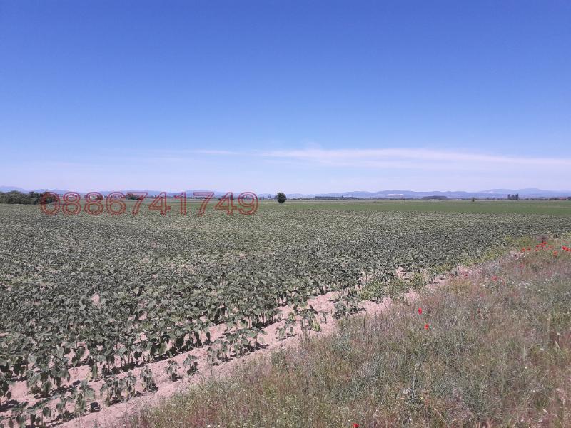 ���� ��� ���� ���������� ���� | Imot.bg � ����������� 2