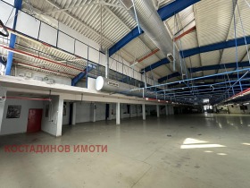 ����� ���� ��� ���� �����,���� �������, ������������ ���� - �����