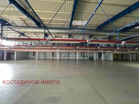 ����� ���� ��� ���� �����,���� �������, ������������ ���� - �����>