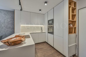 1 soverom Dianabad, Sofia 9