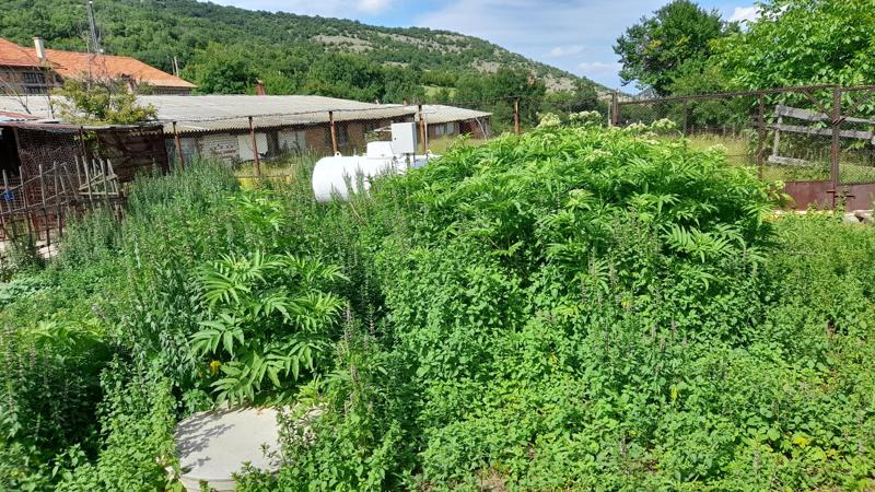 ���� ��� ���� ����. ��������� | Imot.bg � ����������� 12