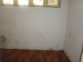 Под наем МАГАЗИН, град София, Люлин 3 • 511 € / 999.43 лв. • 46220928 1
