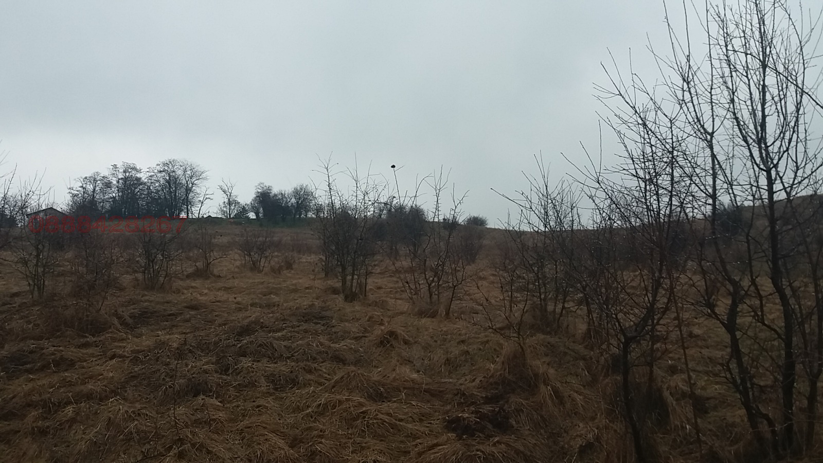 Дава под наем МЯСТО, гр. София, Филиповци, снимка 3 - Парцели - 53971266