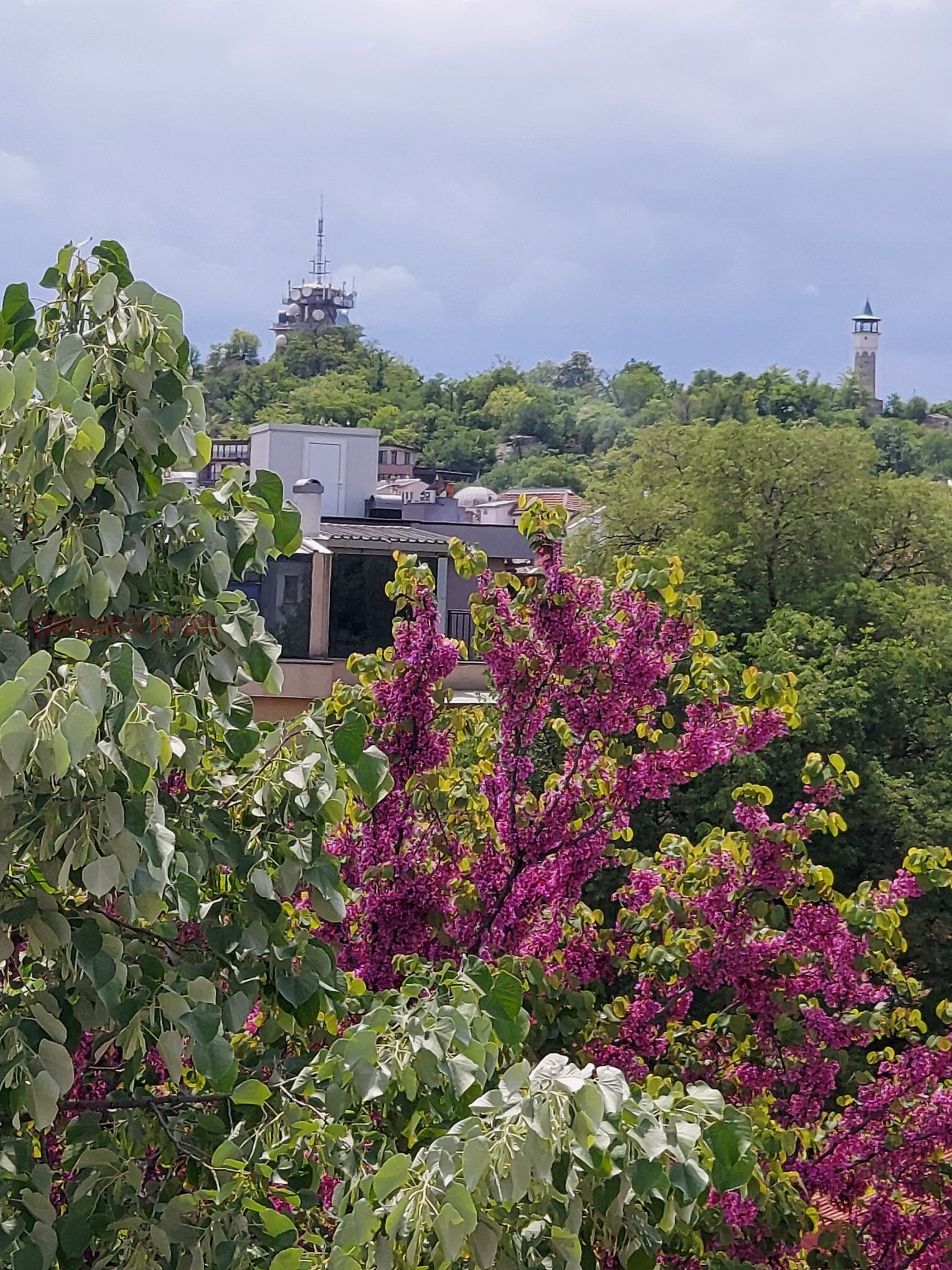 ���� ��� ���� 1-����� | Imot.bg � ����������� 14