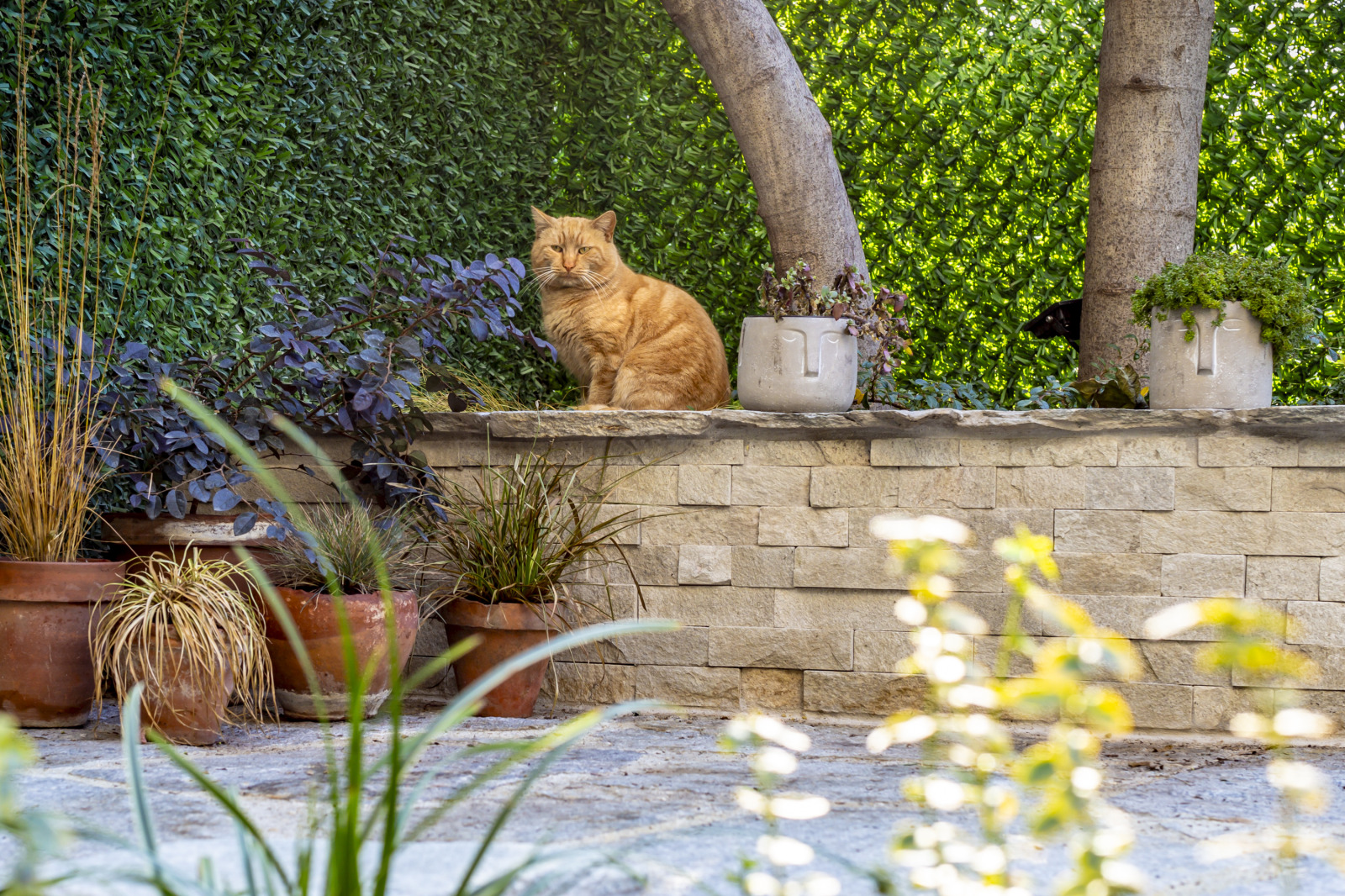 Дава под Наем 3-СТАЕН | Imot.bg — изображение 9