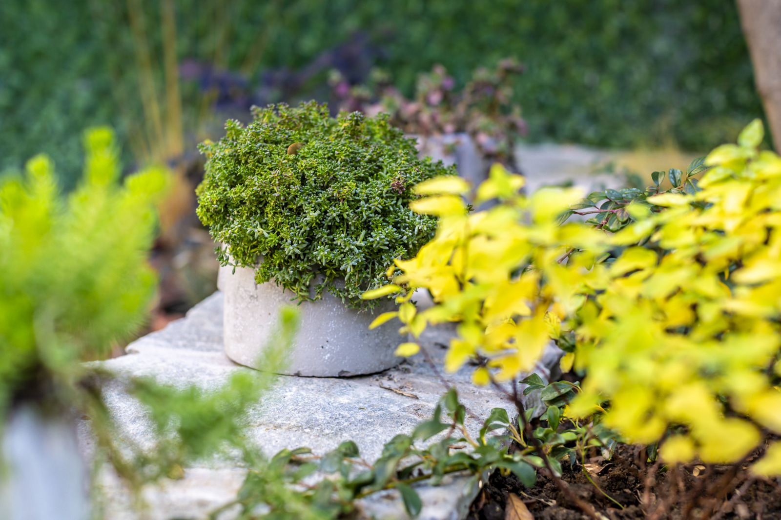 Дава под Наем 3-СТАЕН | Imot.bg — изображение 8