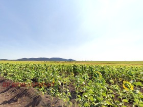 ���� ��� ���� ���� | Imot.bg � ����� ������ 16