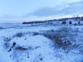 Дава под наем МЯСТО, гр. Кърджали, Студен кладенец, снимка 5
