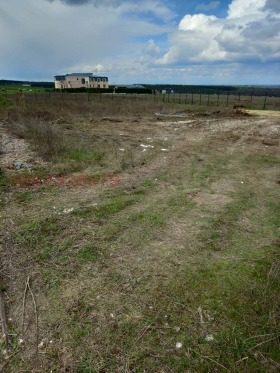 ������ ���� ��� ���� �����