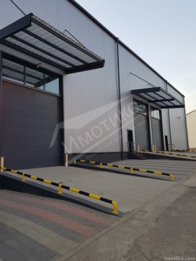 ������ ���� ��� ���� �����