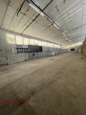 ����� ���� ��� ���� ����. ���������,���� �����, ���������