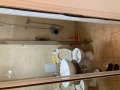 Под наем 2-СТАЕН, град София, Овча купел • 510 € • 97510965 — Holmes.bg