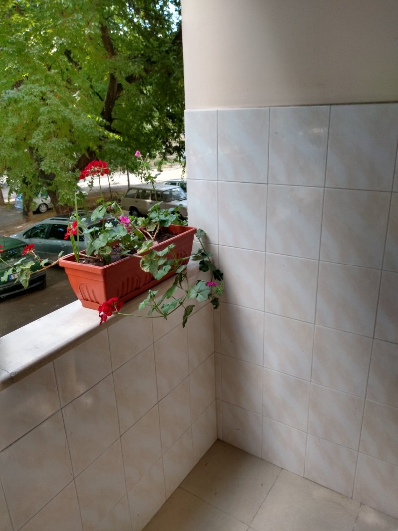 För uthyrning  Studio Stara Zagora , Centar , 35 kvm | 64755281 - bild [7]