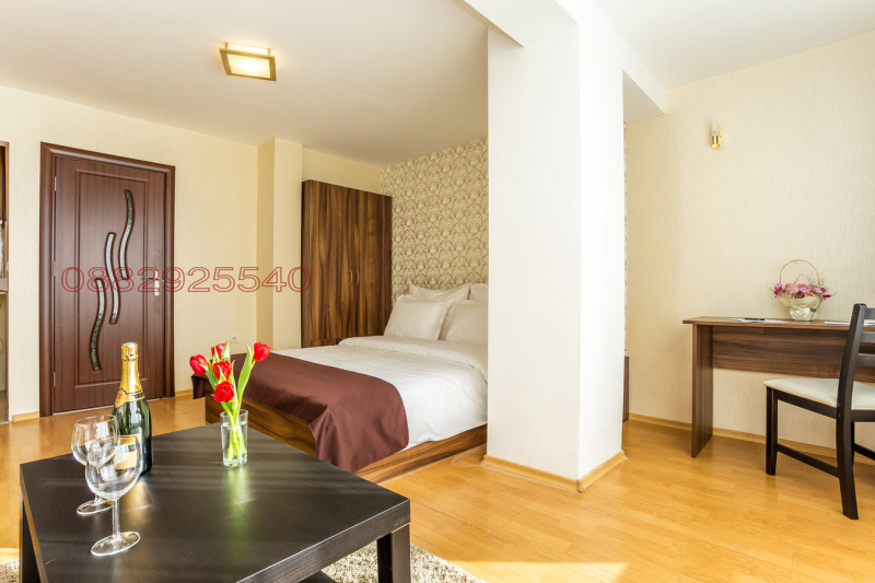 Дава под наем АТЕЛИЕ, ТАВАН, гр. София, Център, снимка 2 - Апартаменти - 53536118