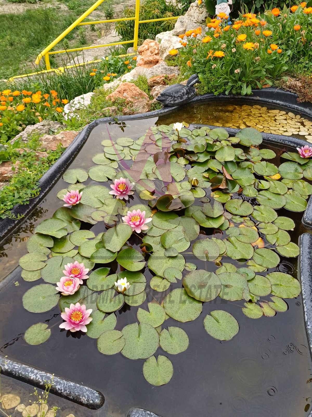 ���� ��� ���� ���� | Imot.bg � ����������� 4