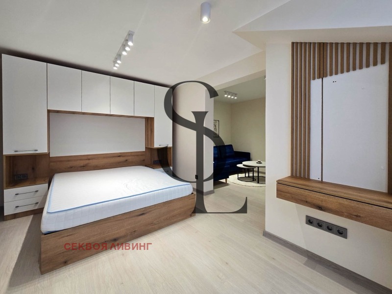 Дава под наем 1-СТАЕН, гр. София, Център, снимка 6 - Апартаменти - 53562774