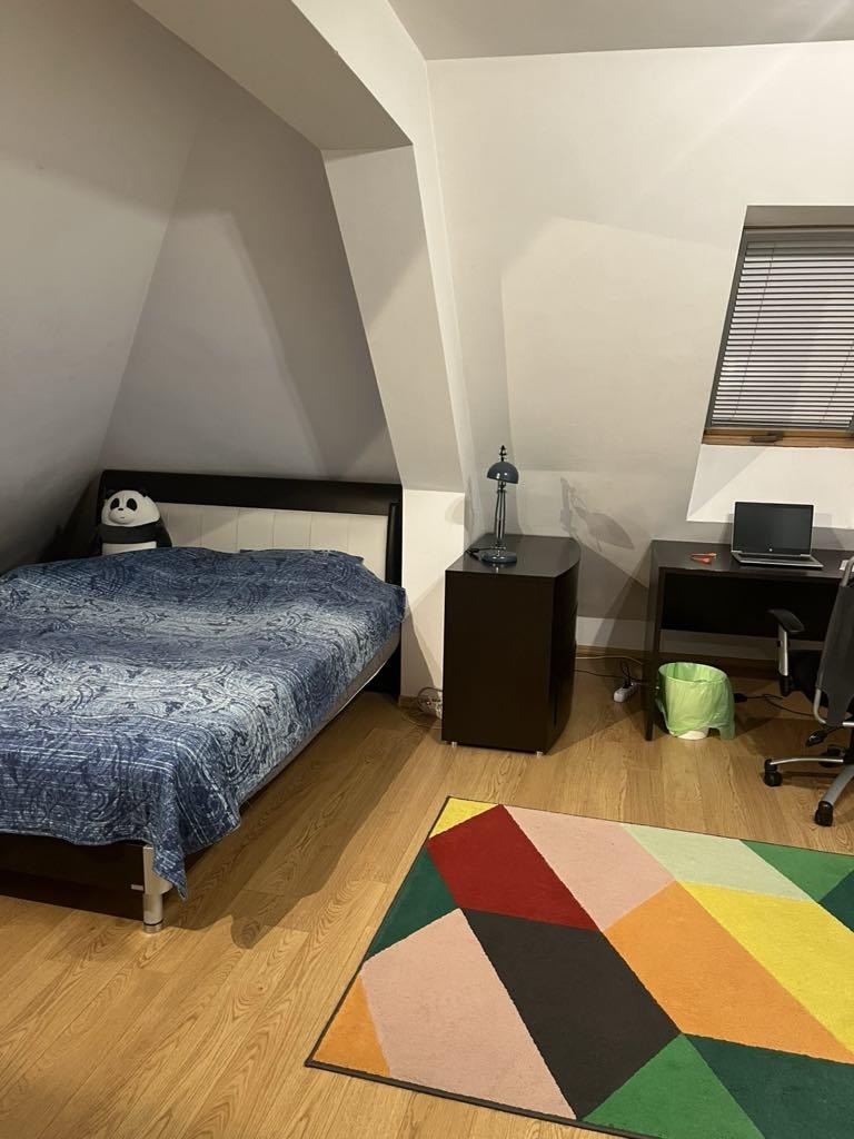 Дава под наем МЕЗОНЕТ, гр. София, Лозенец, снимка 7 - Апартаменти - 52797825