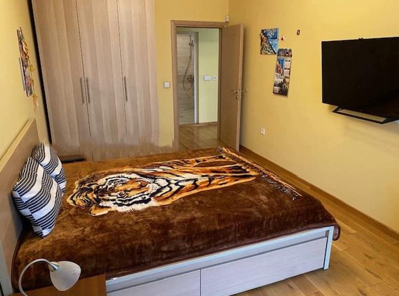 Da affittare  2 camere da letto Sofia , Liulin 9 , 130 mq | 44205201 - Immagine [4]