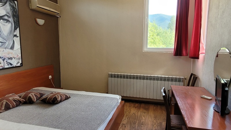 Дава под наем ВИЛА, с. Павелско, област Смолян, снимка 9 - Вили - 53483430