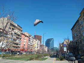 Sklep Centar, Sofia 2