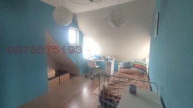 ����� ���� ��� ���� ����,���� �����, ������