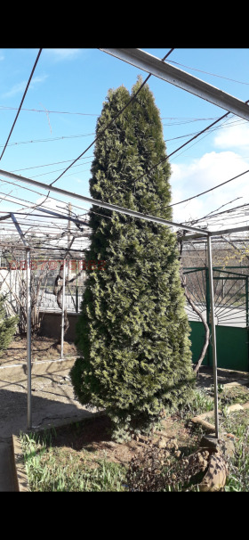 ���� ��� ���� ���� | Imot.bg � ����� ������ 4