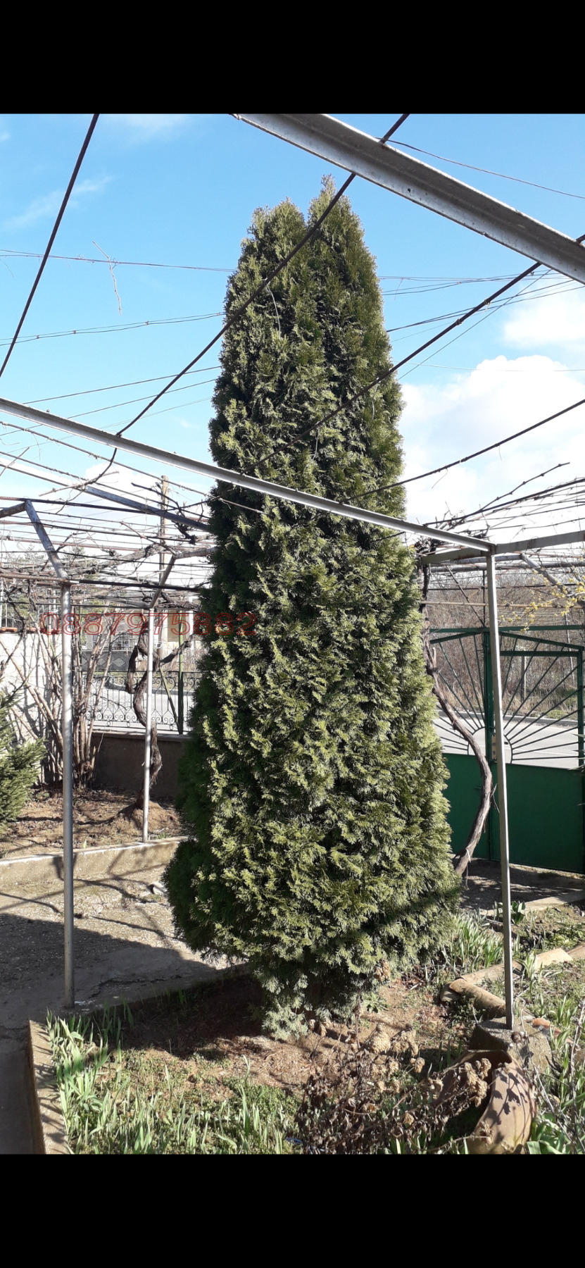 Дава под наем КЪЩА, гр. Сеново, област Русе, снимка 4 - Къщи - 56086313