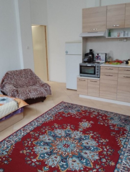 Kiralık  Stüdyo Sofia , Nadejda 1 , 28 metrekare | 50090925