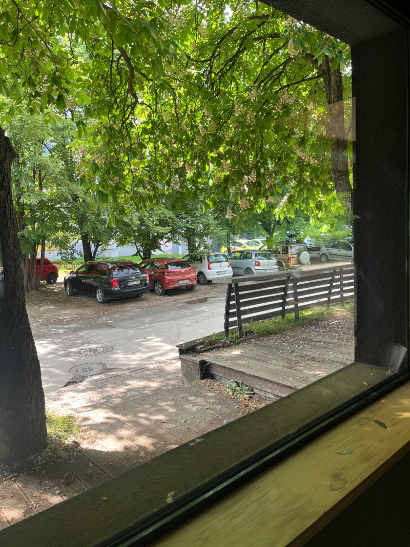 De inchiriat  Bar; Cafenea Sofia , Belite brezi , 690 mp | 35692246 - imagine [6]