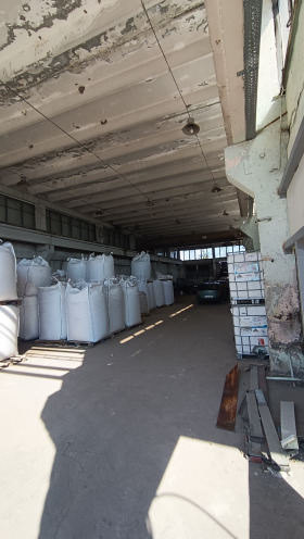 ����� ���� ��� ���� ����. ���������,���� ����� ������, ������������ ���� - �����