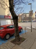 Дава под наем  Гараж, Паркомясто град София , Център , 20 кв.м | 54138846 - изображение [8]