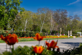 ������ ���� ��� ���� 2-�����