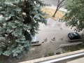 Под наем 3-СТАЕН, град Пловдив, Център • 450 € • 94418781 11