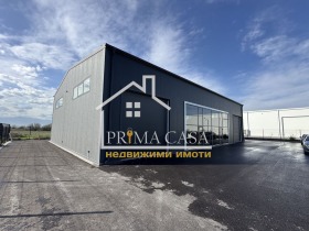 ����� ���� ��� ���� �������,���� �������, ������������ ���� - ������