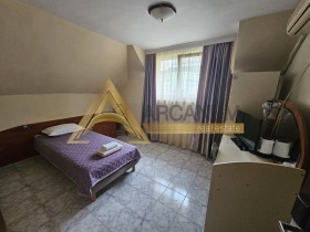 Studio Christo Botew, Warna