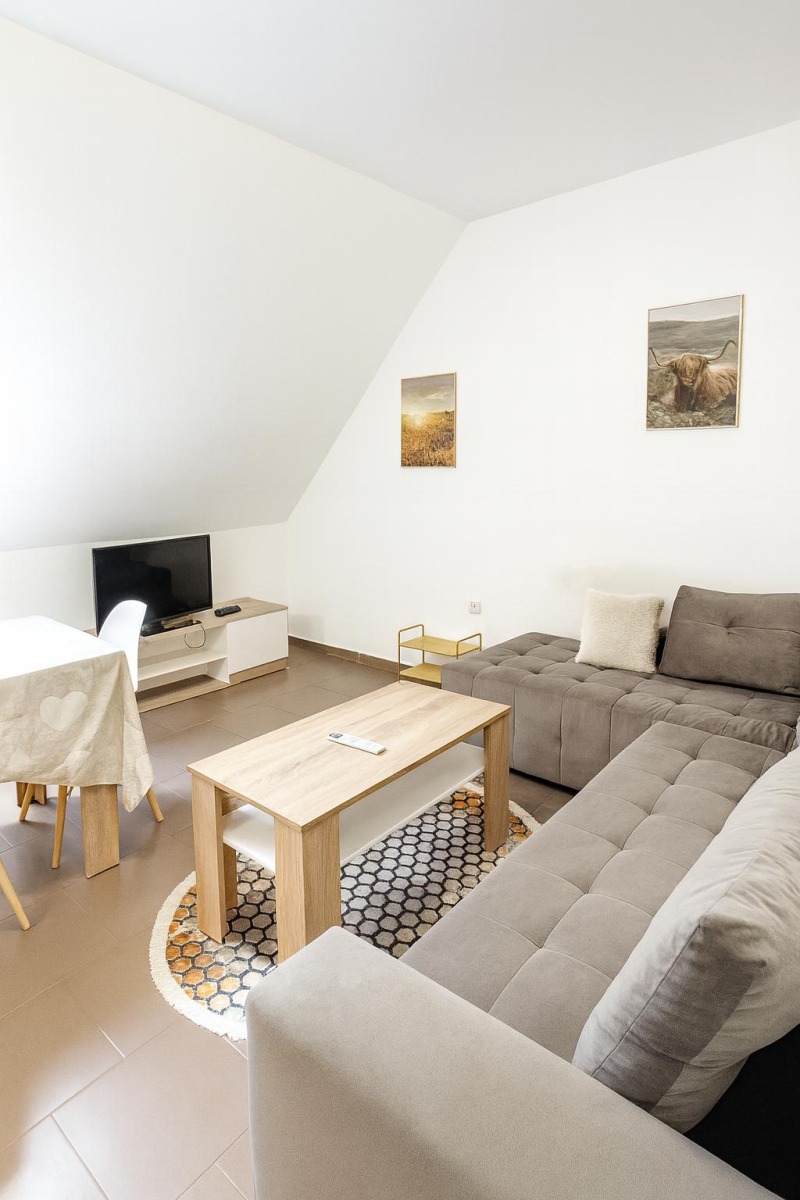 Под наем 2-СТАЕН, град Пловдив, Център • 562 € / 1099.18 лв. • 54177990 1