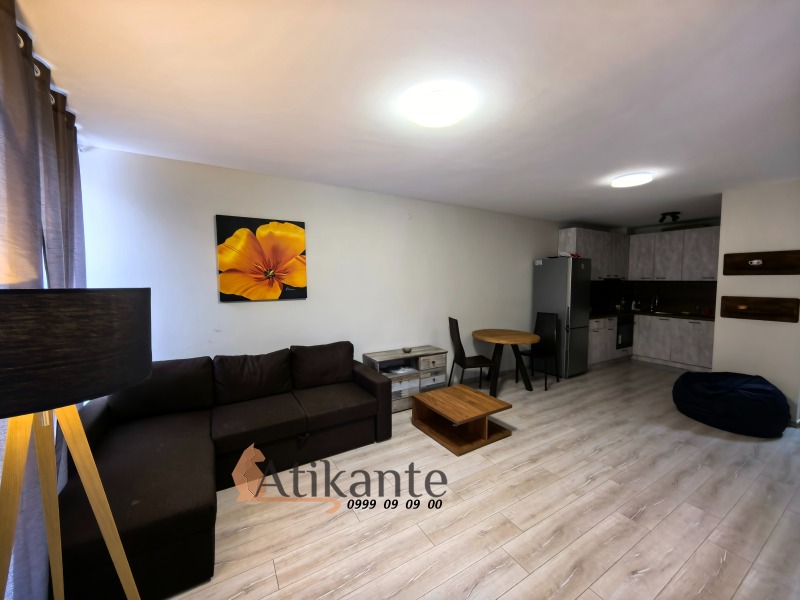 For Rent  1 bedroom Sofia , Manastirski livadi , 67 sq.m | 88745039 - image [3]