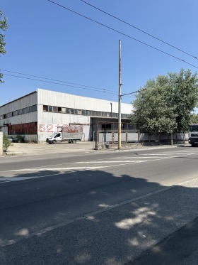 ����� ���� ��� ���� �����,���� ������, ������