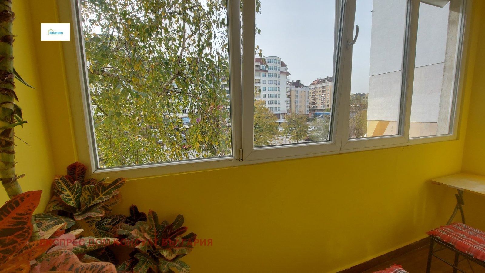 ���� ��� ���� 1-����� | Imot.bg � ����������� 7