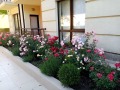 Дава под наем  2-стаен град Варна , м-т Ален мак , 43 кв.м | 34693630 - изображение [14]