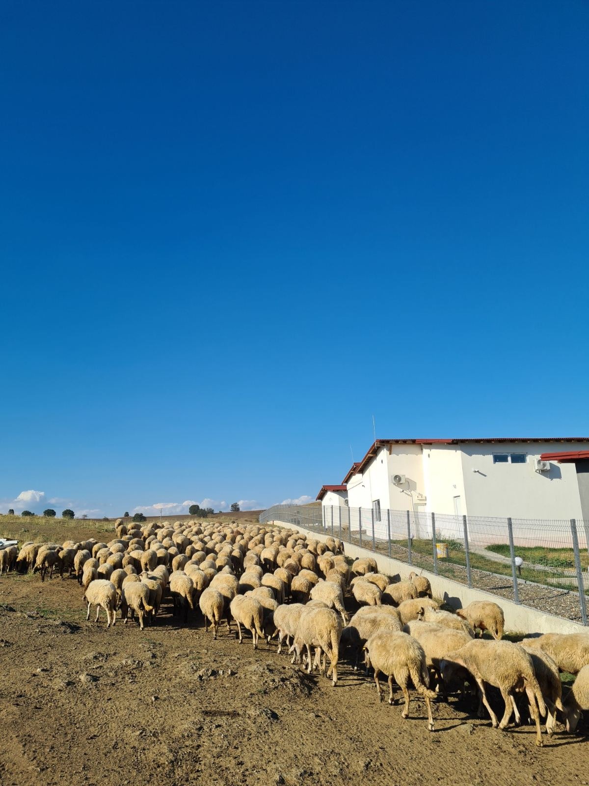 ���� ��� ���� ����� | Imot.bg � ����������� 4