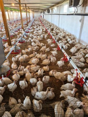 ���� ��� ���� ����� | Imot.bg � ����� ������ 7